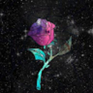 Meet your Posher, Destiny